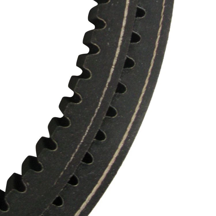 Raw Edge Cogged V Belts